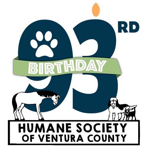 Alexander Cadillac in Oxnard CA