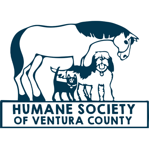 Alexander Cadillac in Oxnard CA