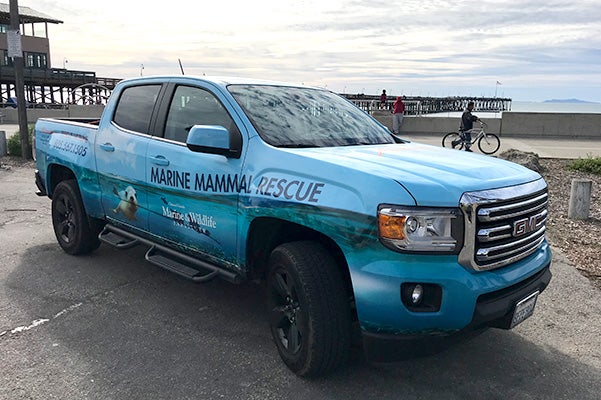 marine mammmal rescue truck Alexander Cadillac in Oxnard CA